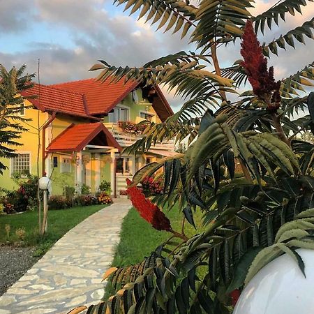 House Antonia Hotel Grabovac  Bagian luar foto