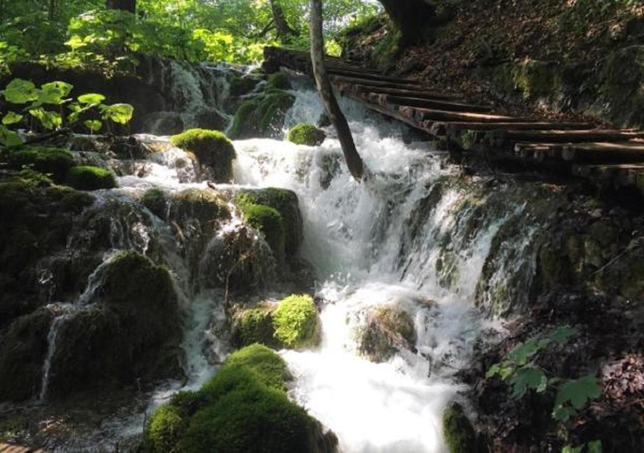 House Antonia Hotel Grabovac  Bagian luar foto