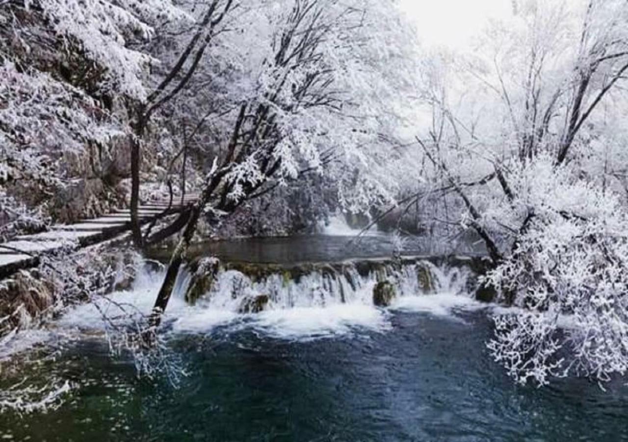 House Antonia Hotel Grabovac  Bagian luar foto