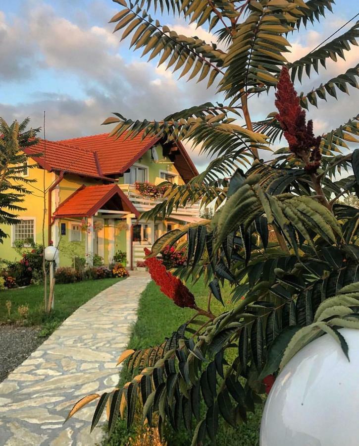 House Antonia Hotel Grabovac  Bagian luar foto